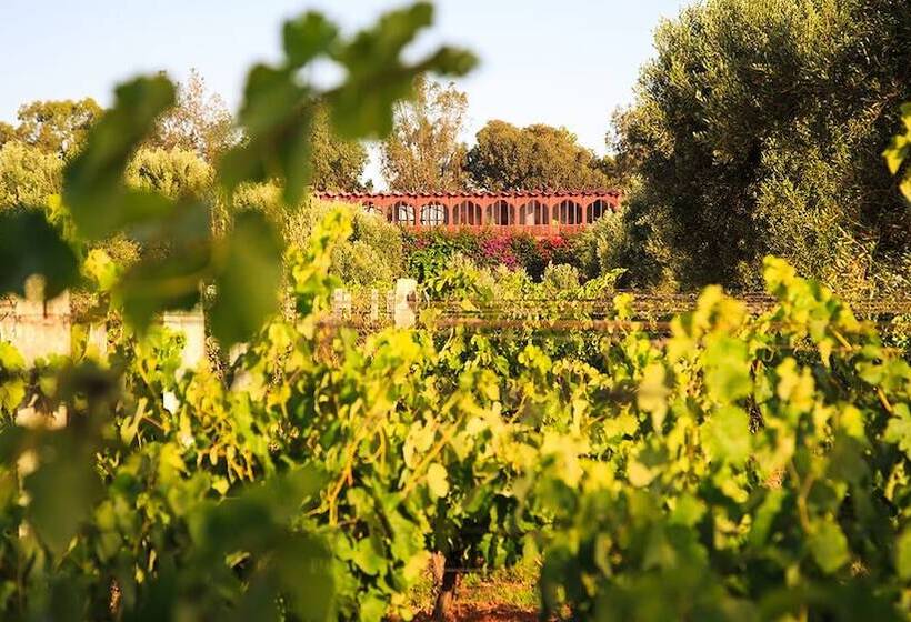 Hotel Ryad Des Vignes