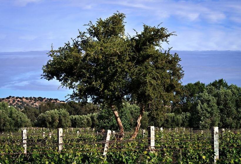 Hotel Ryad Des Vignes