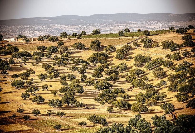 Hotel Ryad Des Vignes