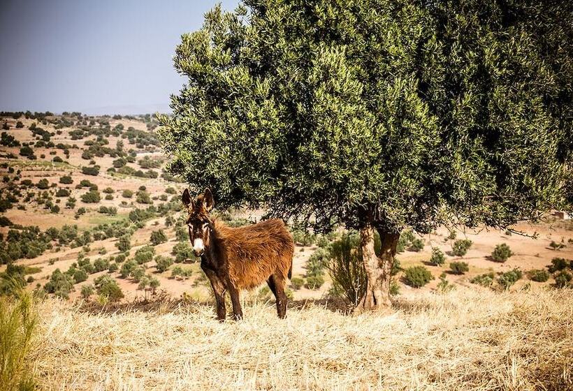 Hotel Ryad Des Vignes