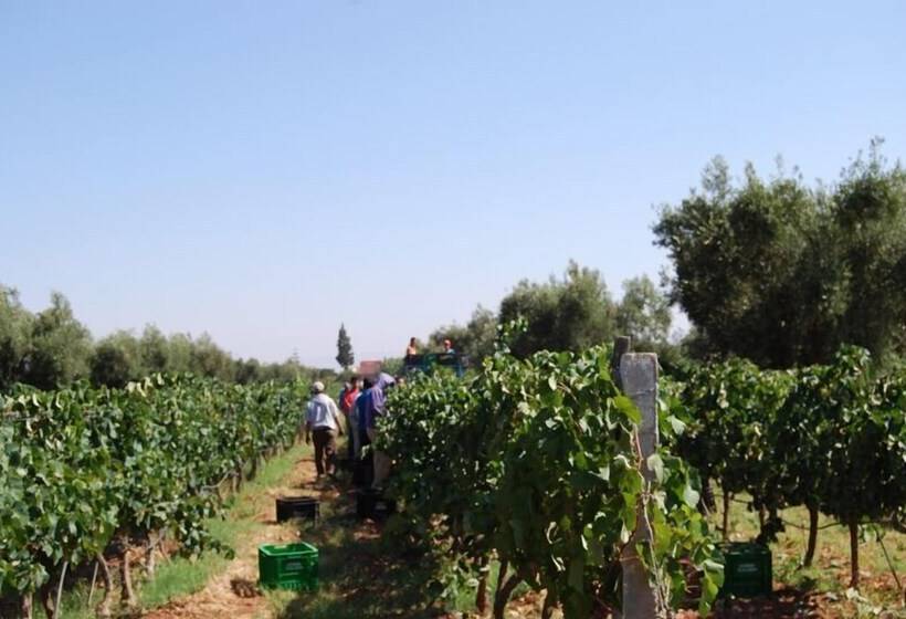 Hotel Ryad Des Vignes