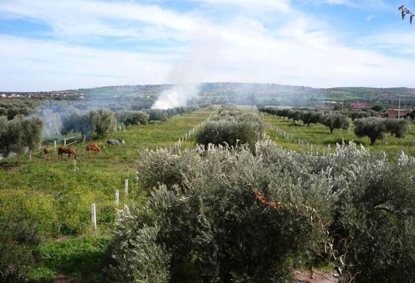 Hotel Ryad Des Vignes