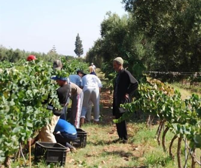 Hotel Ryad Des Vignes