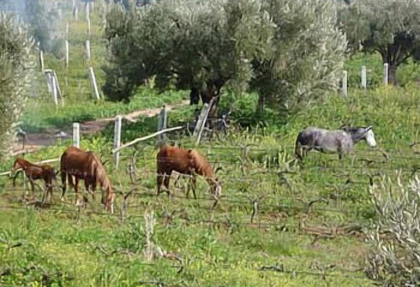 Hotel Ryad Des Vignes