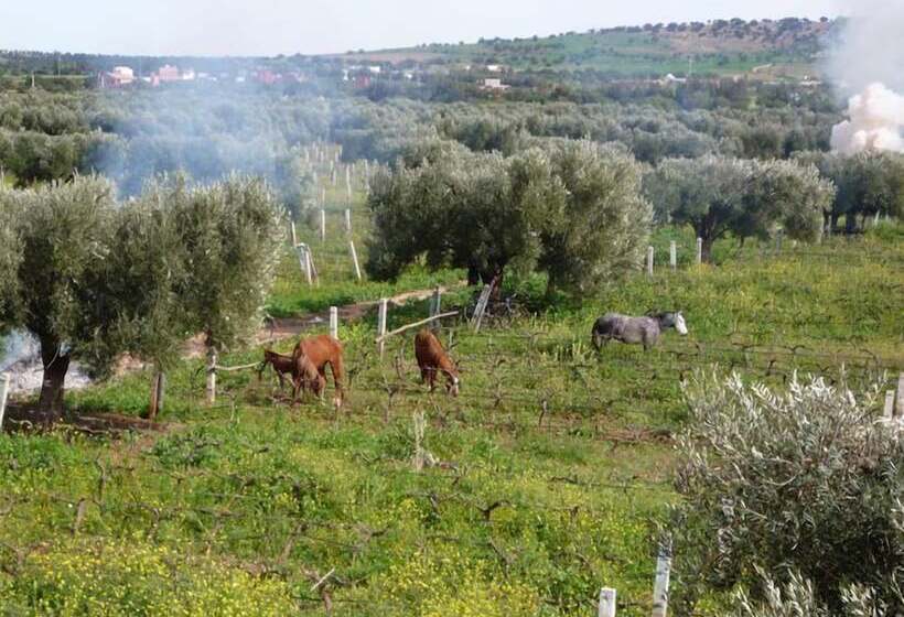 Hotel Ryad Des Vignes