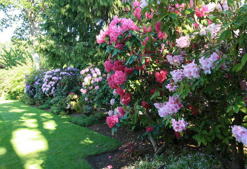 בית מלון כפרי Villa Marco Polo Bed And Breakfast Inn