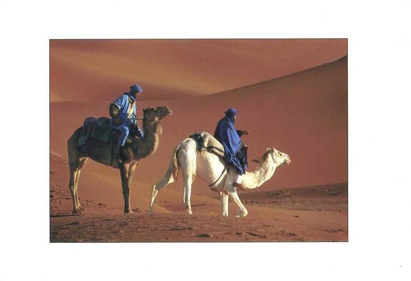 فندق Stargazing  Saharasky