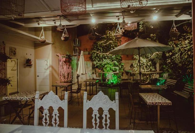 Casa De Pinos Hotel Boutique