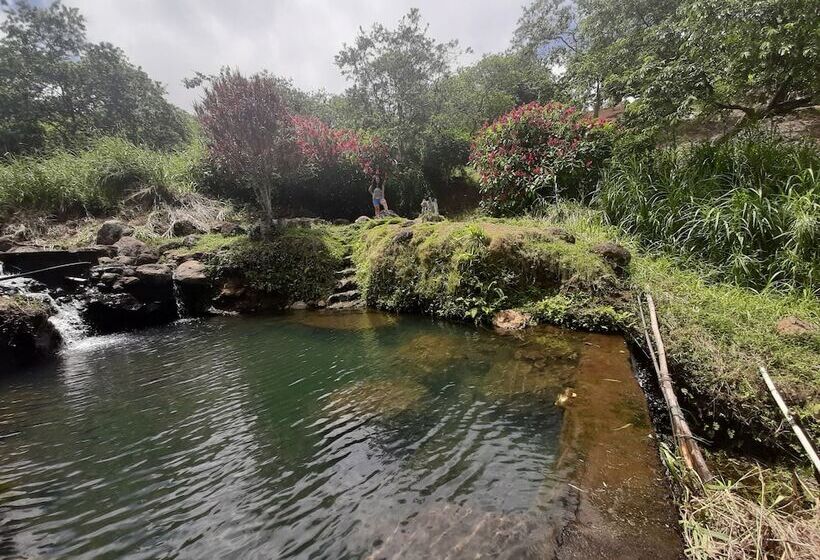 旅馆 Los Algarrobos