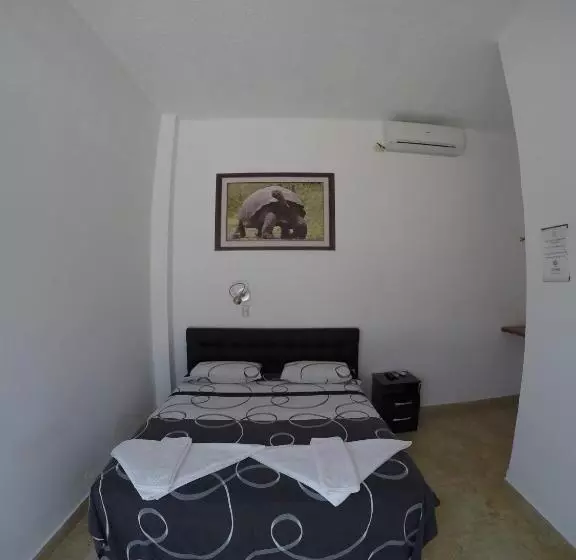 هاستل Stefany's Lodging