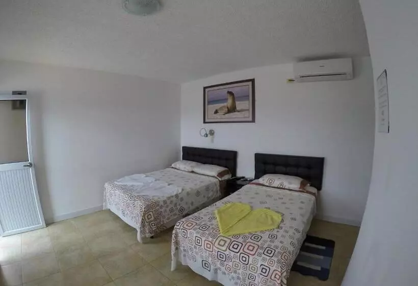 هاستل Stefany's Lodging