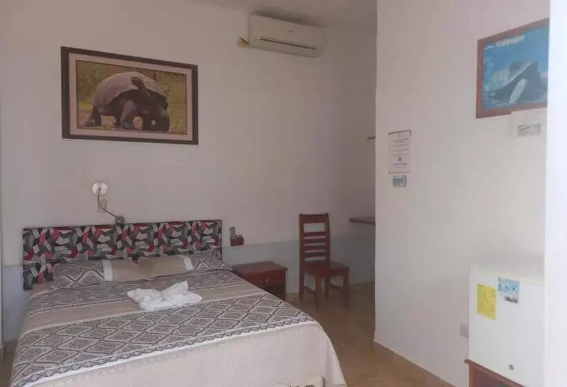 هاستل Stefany's Lodging