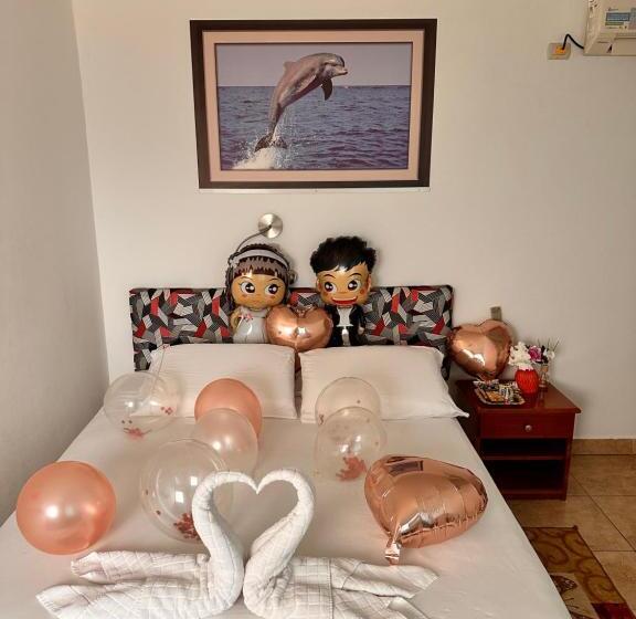 فندق صغير Stefany's Lodging