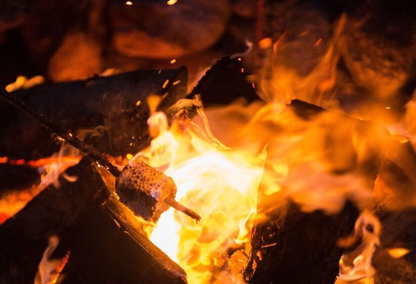 فندق Oceanstone Seaside Resort