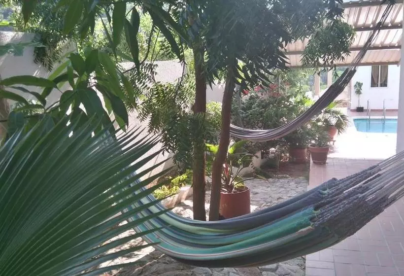 ホテル Casa Oasis