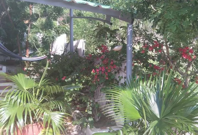ホテル Casa Oasis