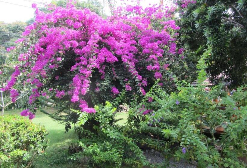 אתר נופש Flower Paradise Bungalows & Swiss Restaurant Roestiland