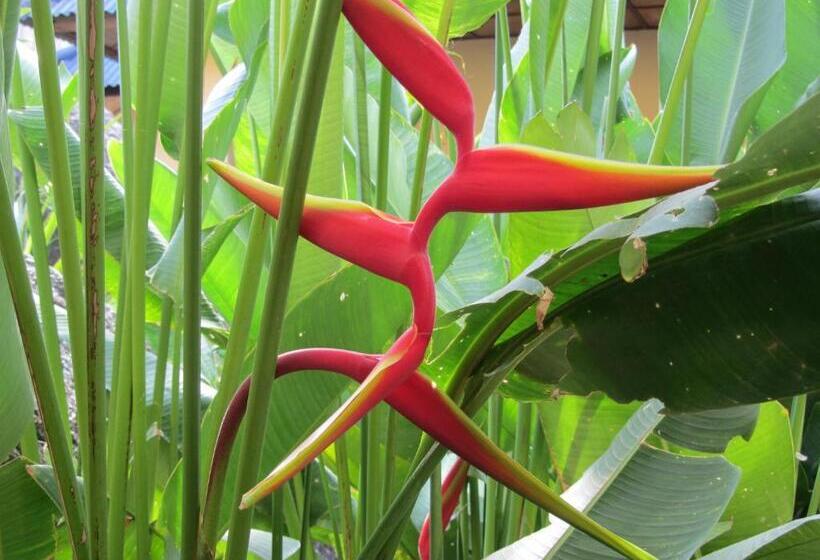 Lomakeskus Flower Paradise Bungalows & Swiss Restaurant Roestiland