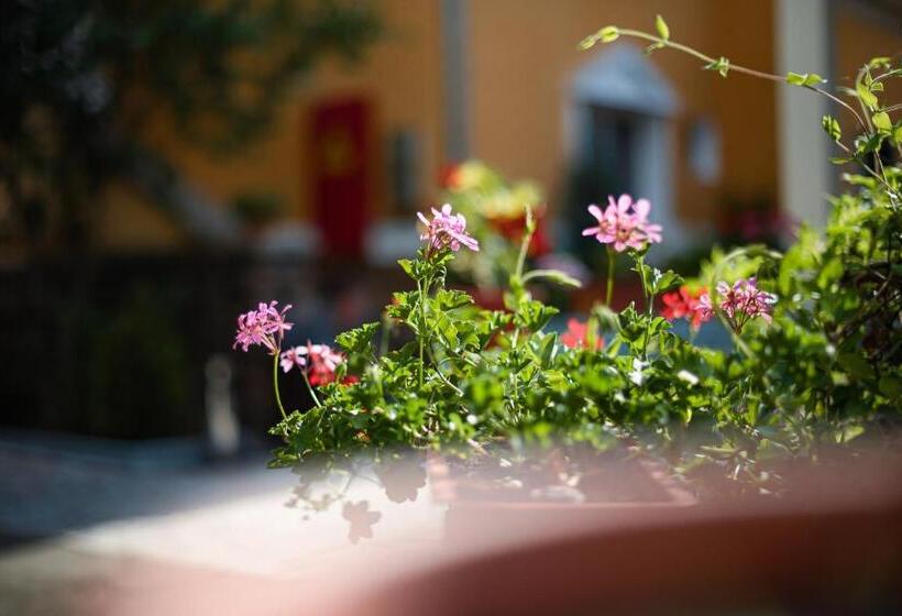 Aida Hotel Spa & Tratament