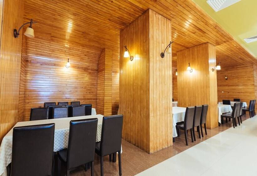 Bacolux Diana Resort, Herculane