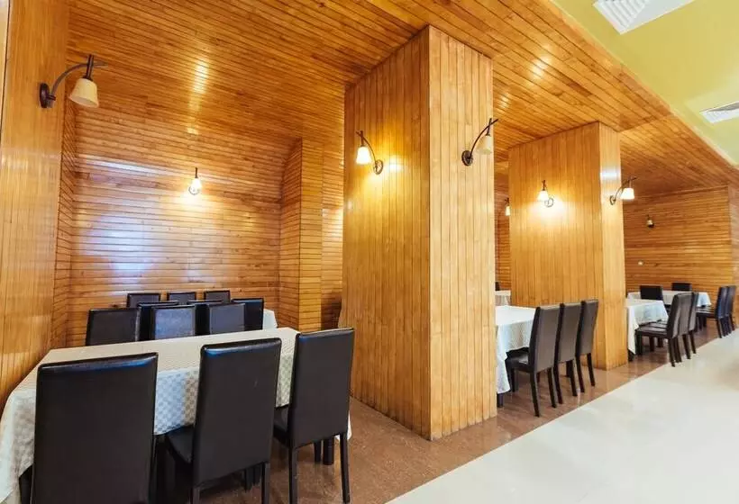Bacolux Diana Resort, Herculane