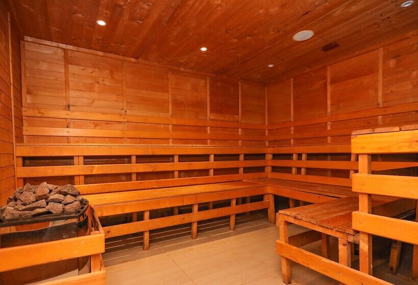 Bacolux Diana Resort, Herculane