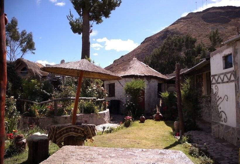 Bed & Breakfast Samana Wasi