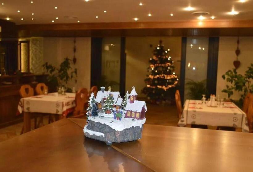 هتل Domeniul Dornei