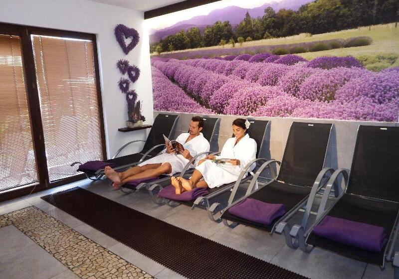 בית מלון כפרי Hilson Apartments Jasná