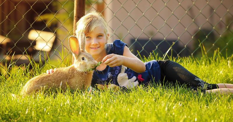 בית מלון כפרי Hilson Apartments Jasná