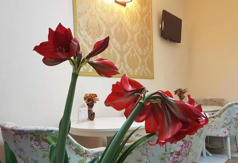 Hotel New