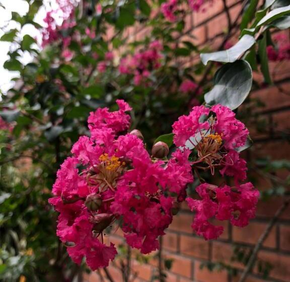 هاستل Alojamiento Familiar Custodia