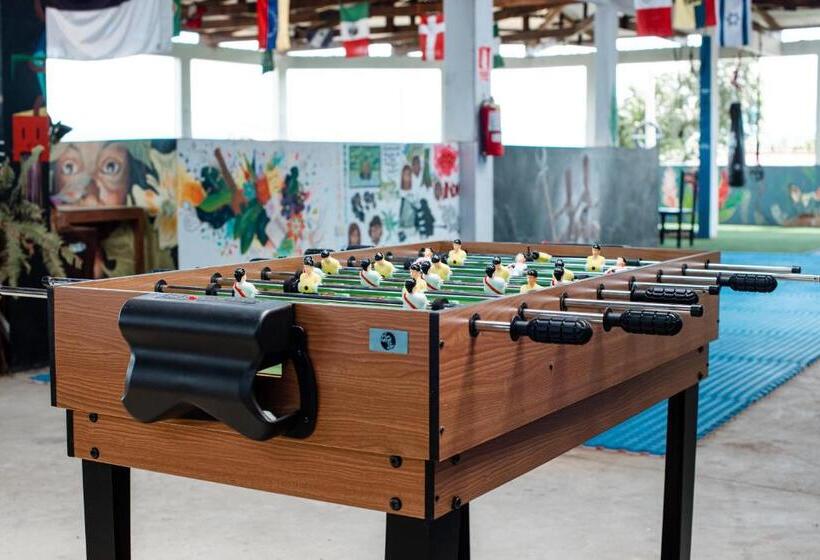 فندق صغير El Mural Backpackers