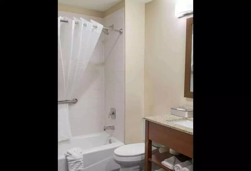 ホテル Mainstay Suites Edinburg