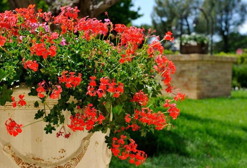 فندق San Giovanni Relais