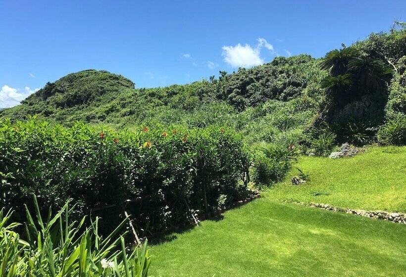 La Casita Kouri Island