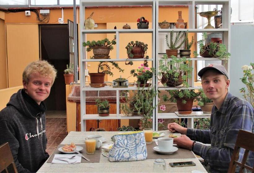 فندق صغير Hospedaje Familiar B&b Virma