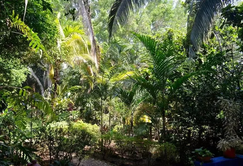 Hotelli Amanwana Ecofinca