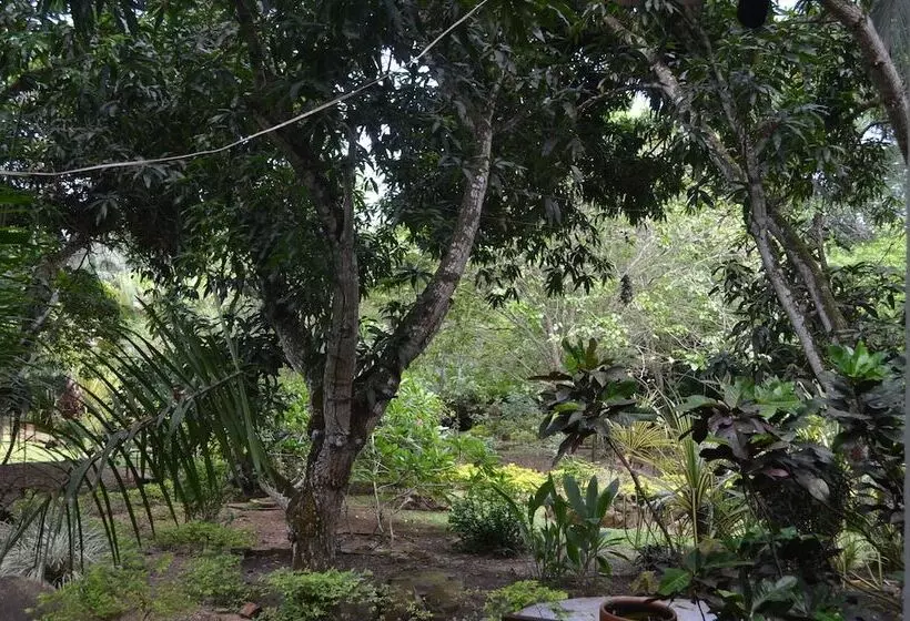 Hotelli Amanwana Ecofinca