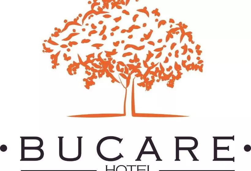 هتل Bucare