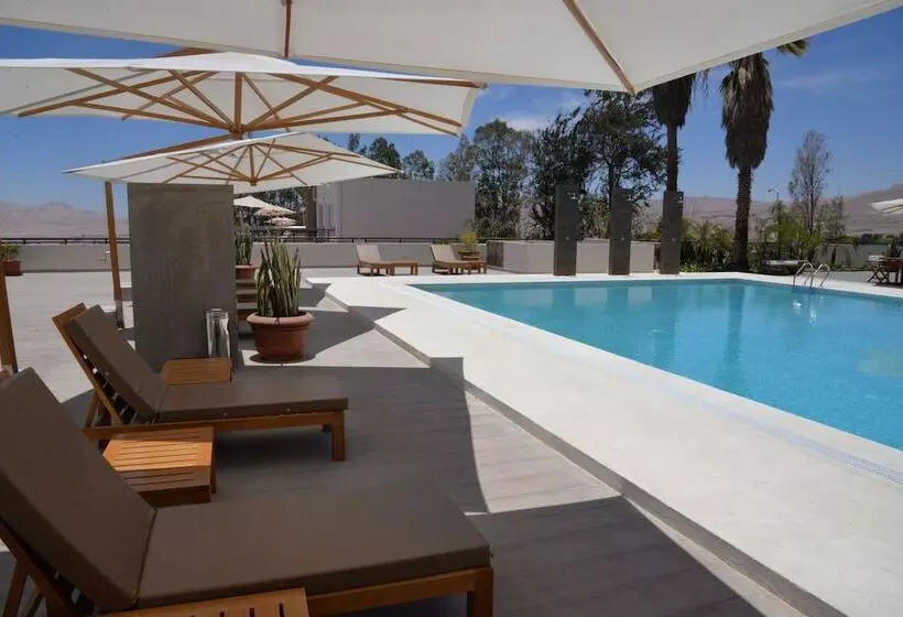 Dm Hoteles Moquegua