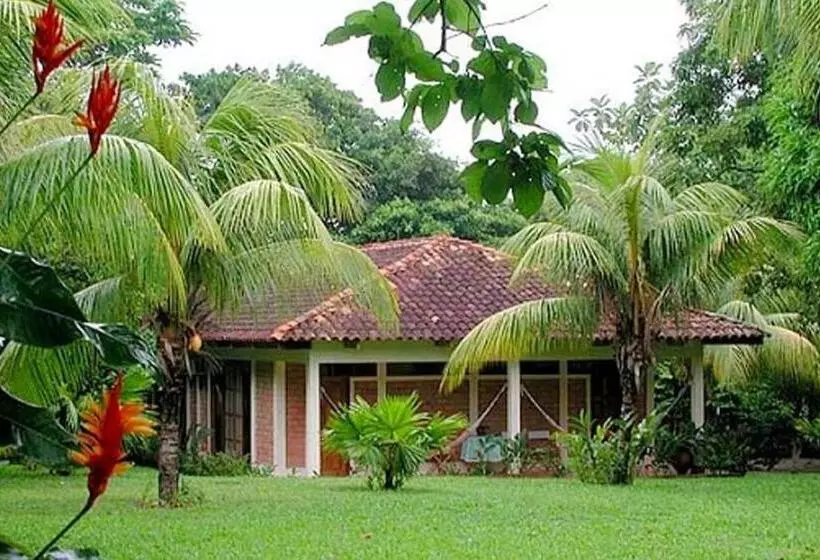 ホテル Dm Es Tarapoto