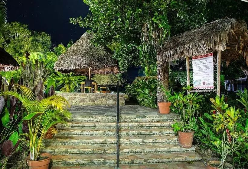 ホテル Dm Es Tarapoto
