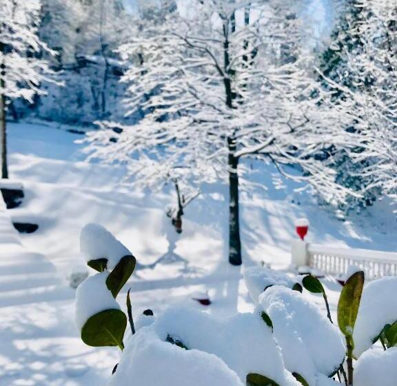 هتل The Sarai Suites, Murree