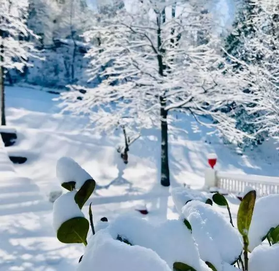 هتل The Sarai Suites, Murree