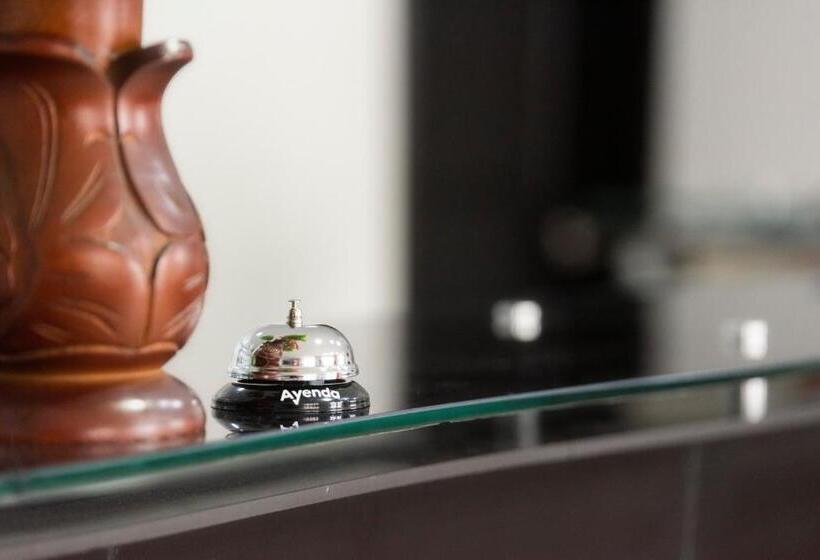 تختخواب و صبحانه Dorado 100