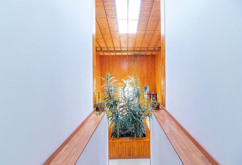 Bed & Breakfast Gran Boutique Sabana