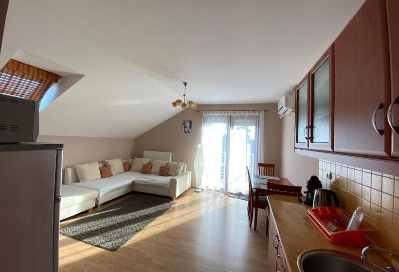 Dorina Wellness Apartman