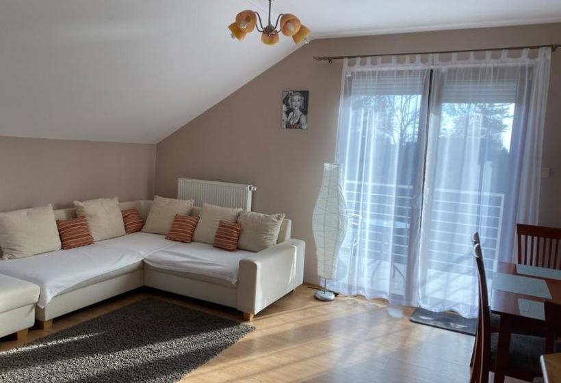 Dorina Wellness Apartman