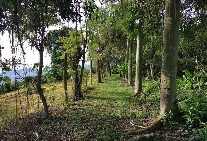 Eco Hotel La Selecta Campestre